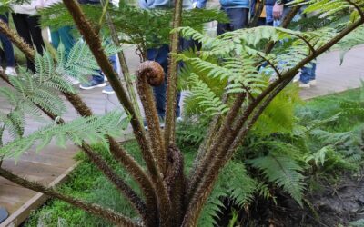 octubre – viaje a la Térmica cultural